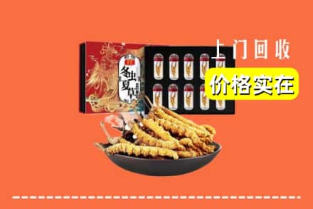 台湾台中市回收冬虫夏草