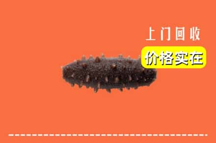 台湾台中市回收海参